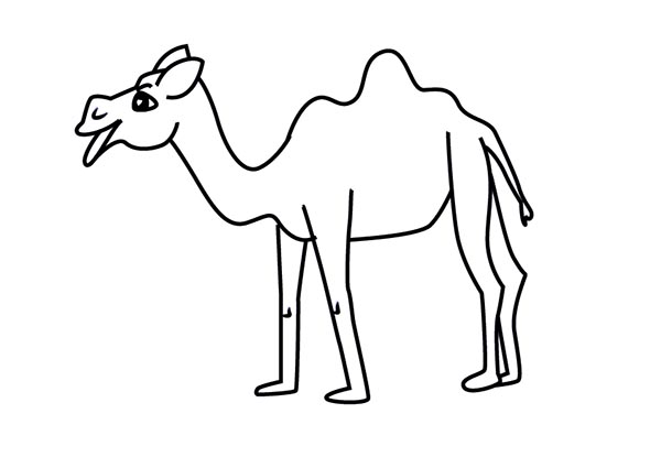/uploads/image/2021/05/25/How to Draw a Cartoon Camel7.jpg